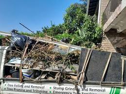 Best Retail Junk Removal  in Conrad, IA